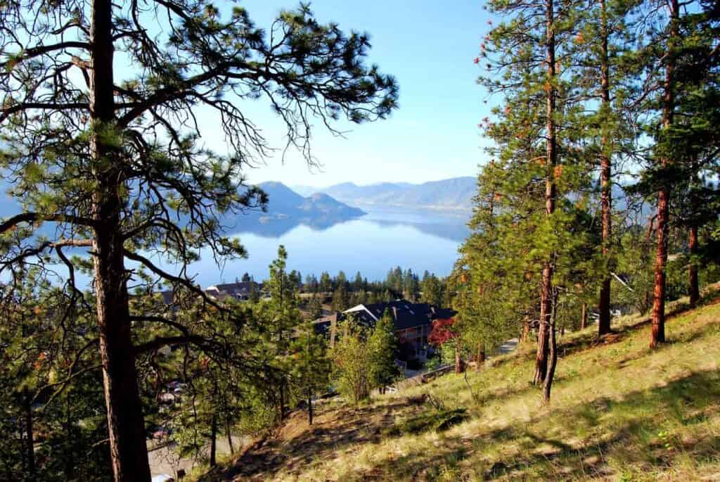 A breathtaking view of Okanagan Lake from an elevated vantage point in Peachland, BC, showcasing lush greenery, a serene lake, and surrounding mountains under a clear blue sky.