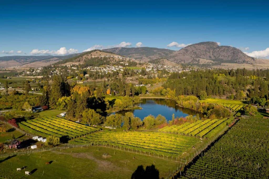 A scenic aerial view of a vineyard and farmland in Kelowna's Black Mountain neighbourhood, featuring lush greenery, a tranquil pond, and rolling hills under a clear blue sky.